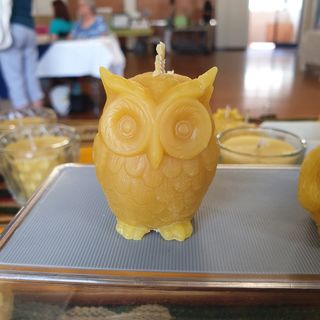 Owl Candle