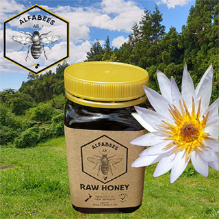 Raw Honey Comb Honey